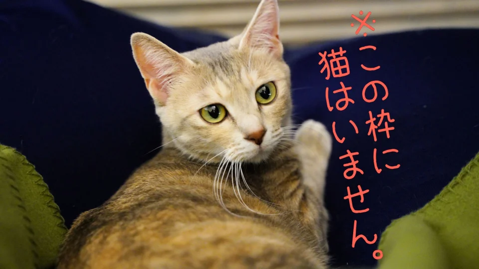 ずんだたいやき