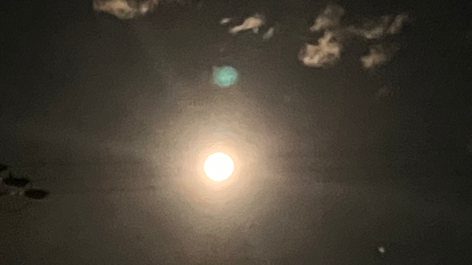 好きだなぁ……