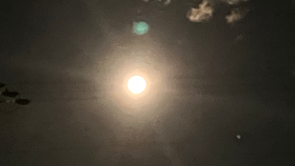 独り
