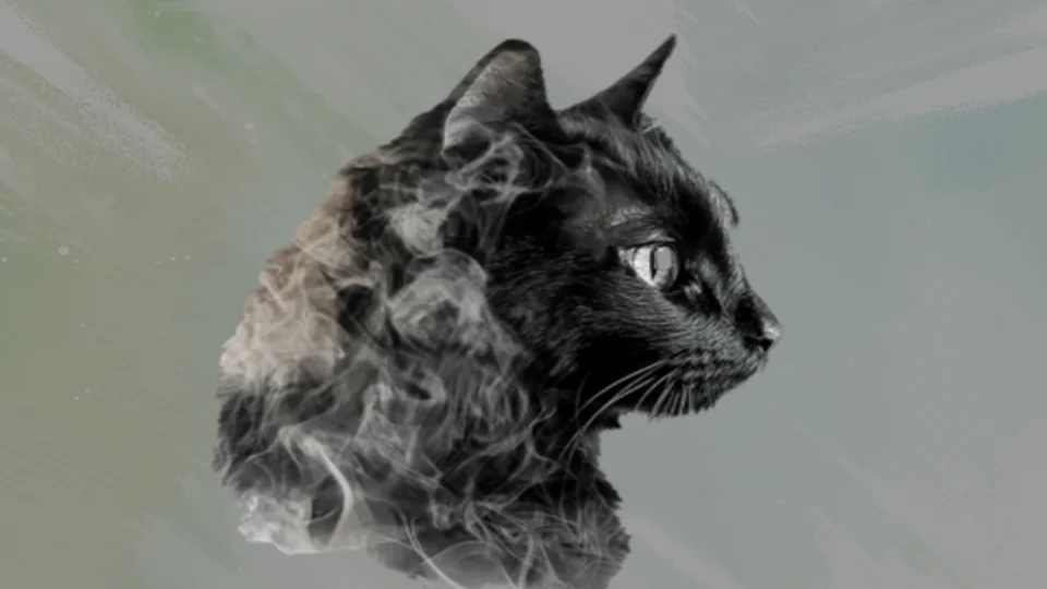 ダイヤの煌めき