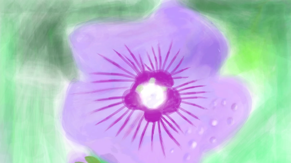 立葵