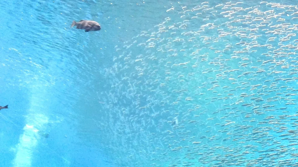 魔法が解ける、その前に