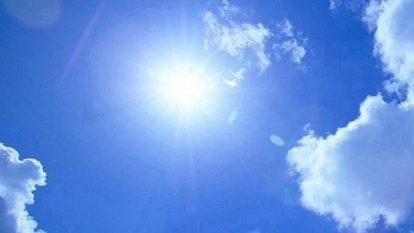 夏休み応援📣