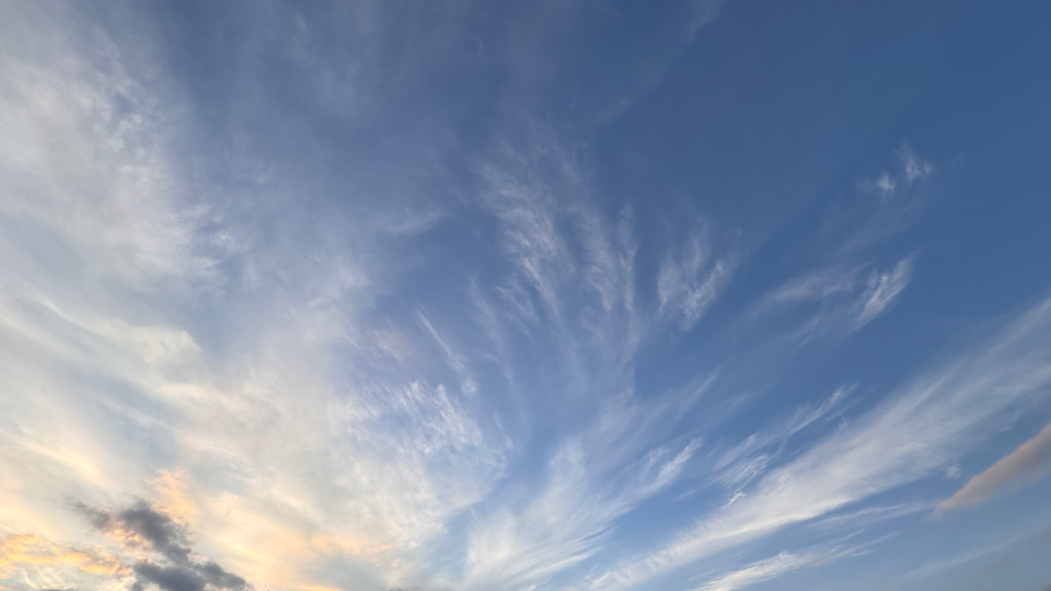 親分をバカにすると、許さねえぜ？