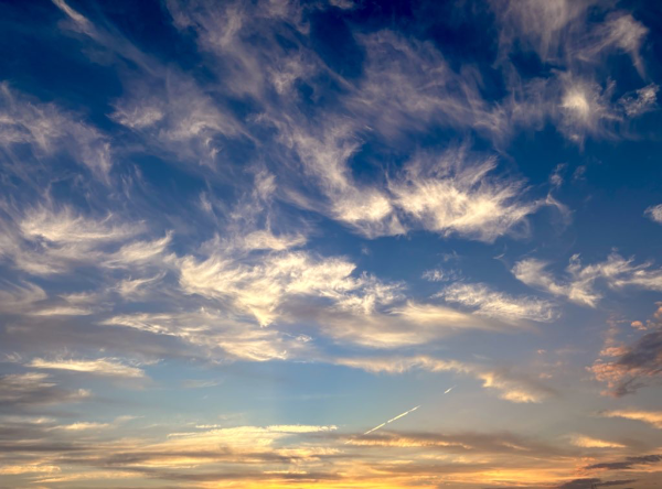 夏は好きですか？