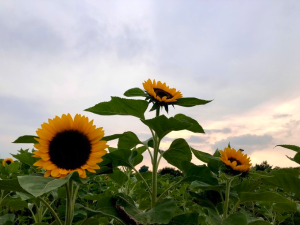 普通 を読んでみた…