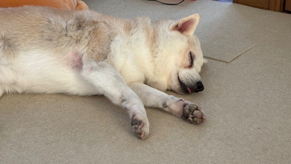 僕の仕事の意味