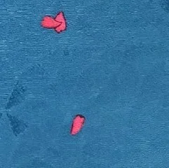 きっとこの気持ちを、そう呼ぶのだ