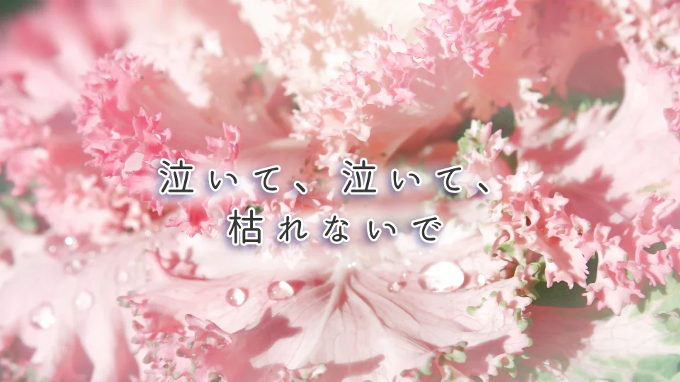 泣いて、泣いて、枯れないで