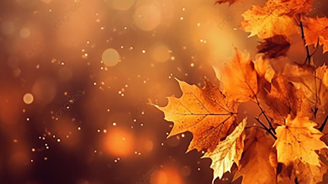 シャンプーCM セリフ