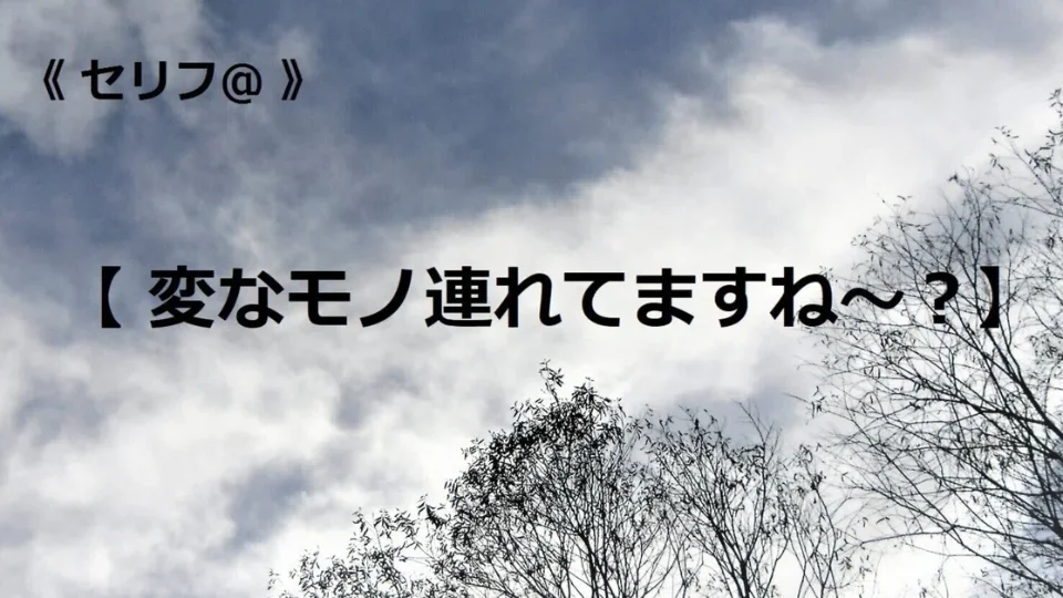 台本【変なモノ連れてますね～？】