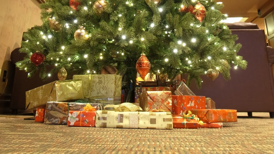 ある講師のプレゼント